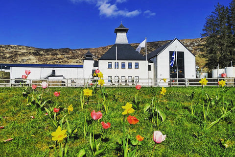 Adelphi / Ardnamurchan
