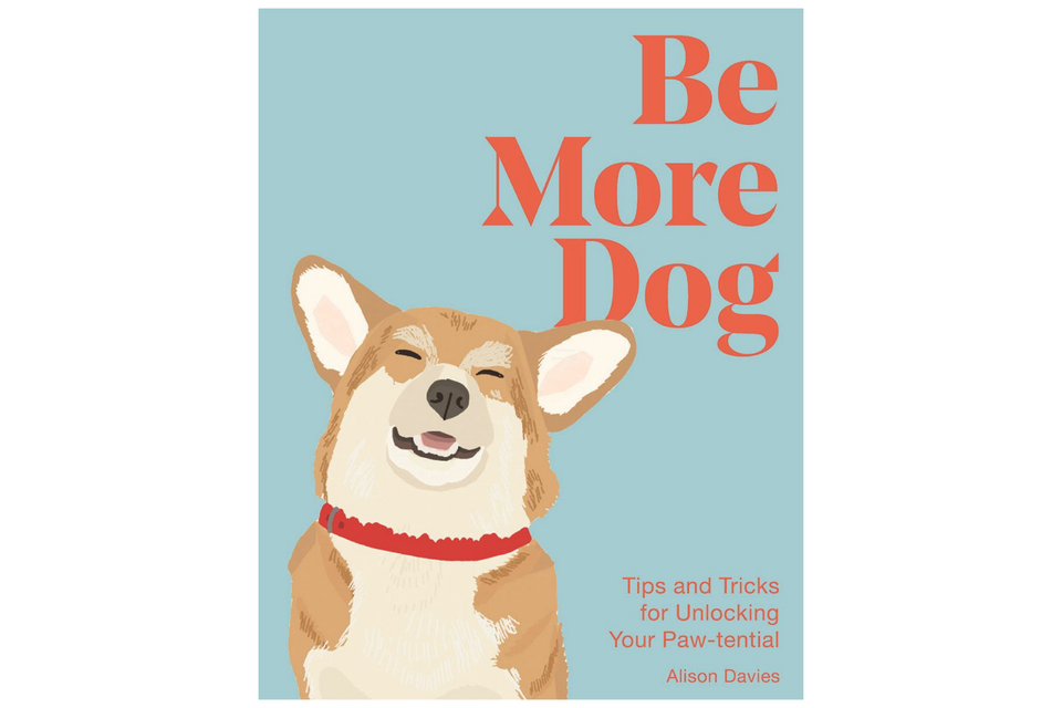 Be More Dog xx