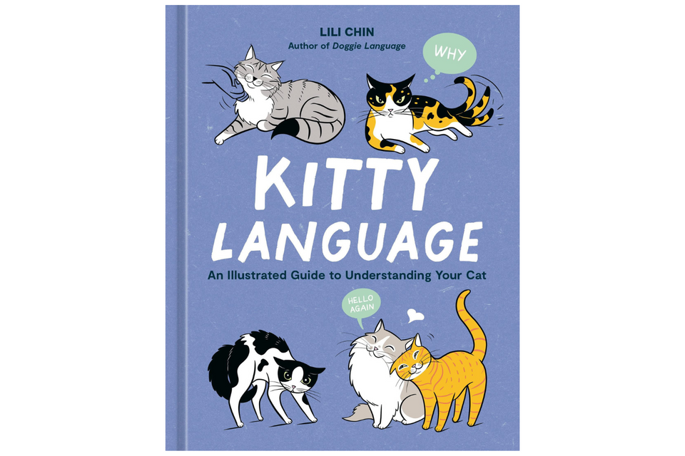 Kitty Language xx
