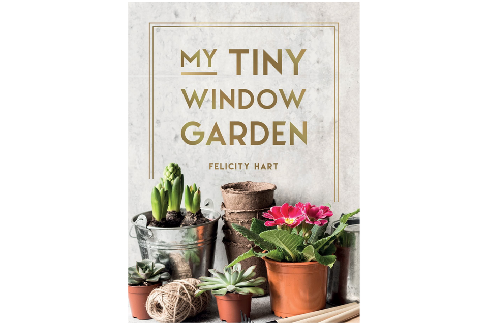 My Tiny Window Garden xx