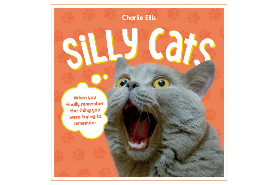 Silly Cats xx