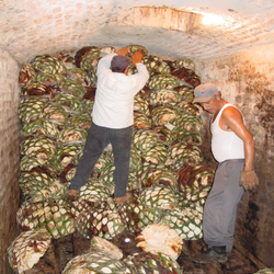 Fortaleza Blanco Tequila