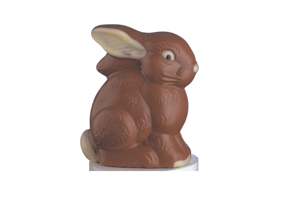 Hollow Milk Chocolate Bunny - NOW HALF PRICE xx