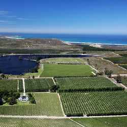 Iona, Sauvignon Blanc, South Africa 2024 BIN NO 1315