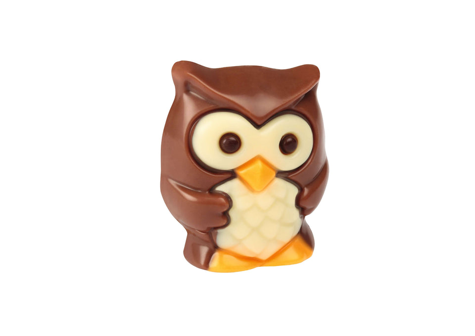 Milk Chocolate Hazelnut Owl
