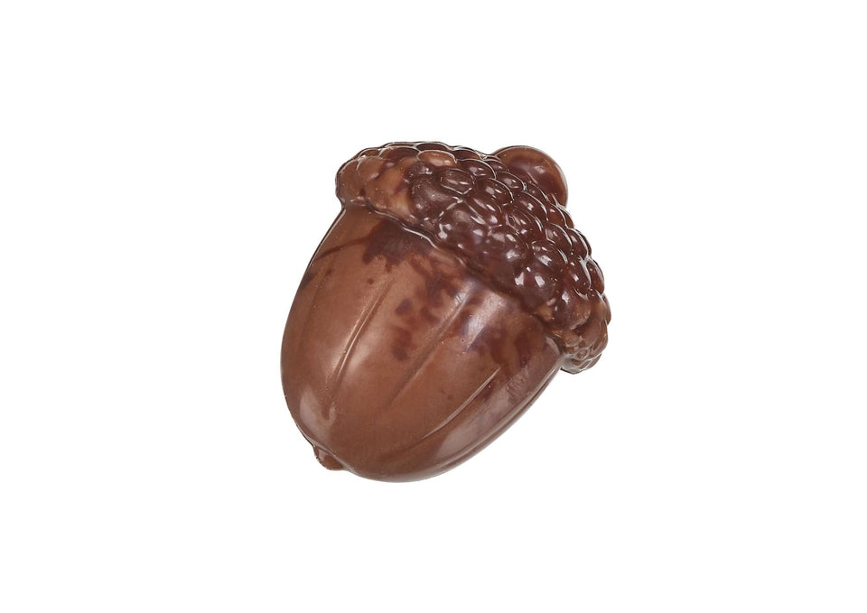 Milk Chocolate Praline Acorn