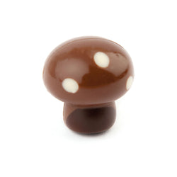 Autumn Chocolate Taster Pack