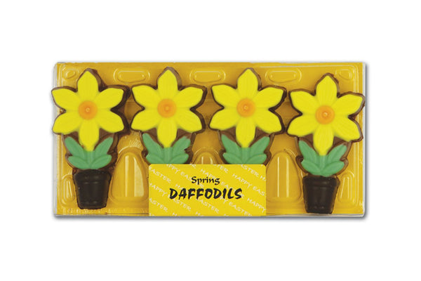 Chocolate Spring Daffodils