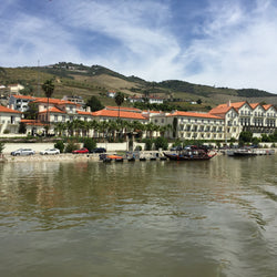 Delaforce Doc Douro LBV Port BIN NO 1392