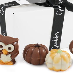 Ballotin Box of Autumn Chocolates