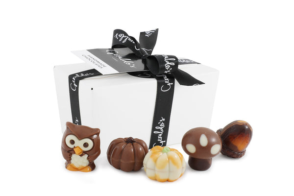 Ballotin Gift Box of Autumn Chocolates