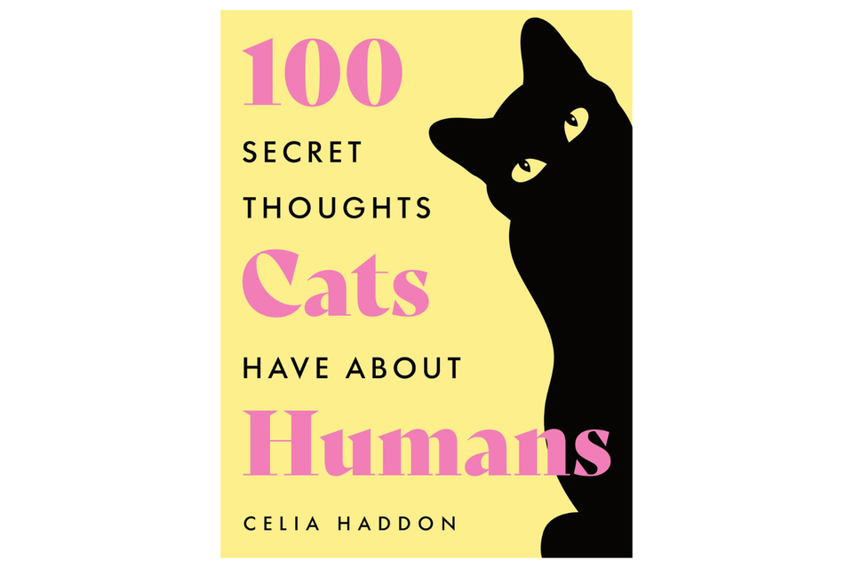 100 Secret Thoughts Cats Have About Humans xx