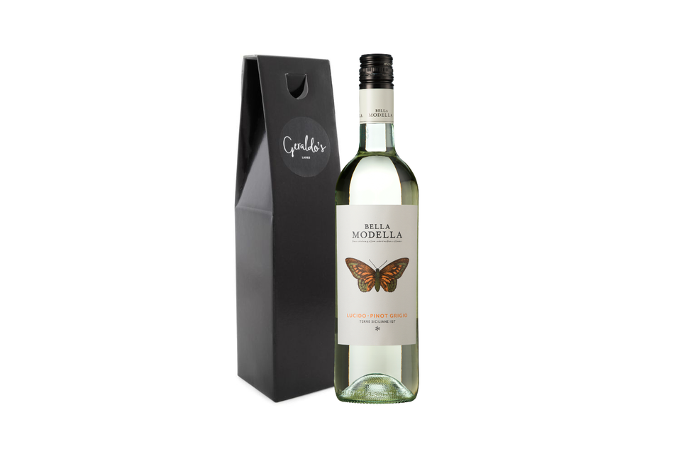Bella Modella, Lucido Pinot Grigio, IGT, Sicily, Italy, 2024 BIN NO 5824 xx