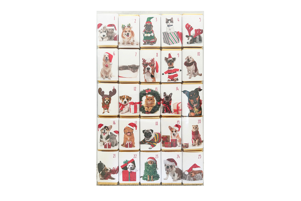 Milk Chocolate Dog and Cat Advent Slims xx