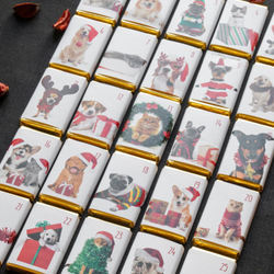 Milk Chocolate Dog and Cat Advent Slims