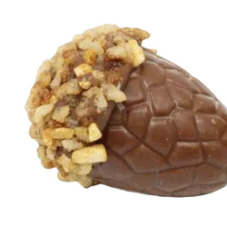 Autumn Chocolate Taster Pack