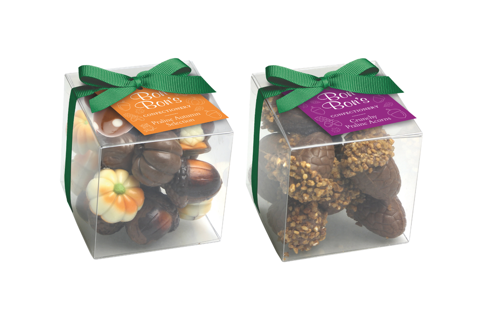 Seasonal Chocolate Gift Cubes xx