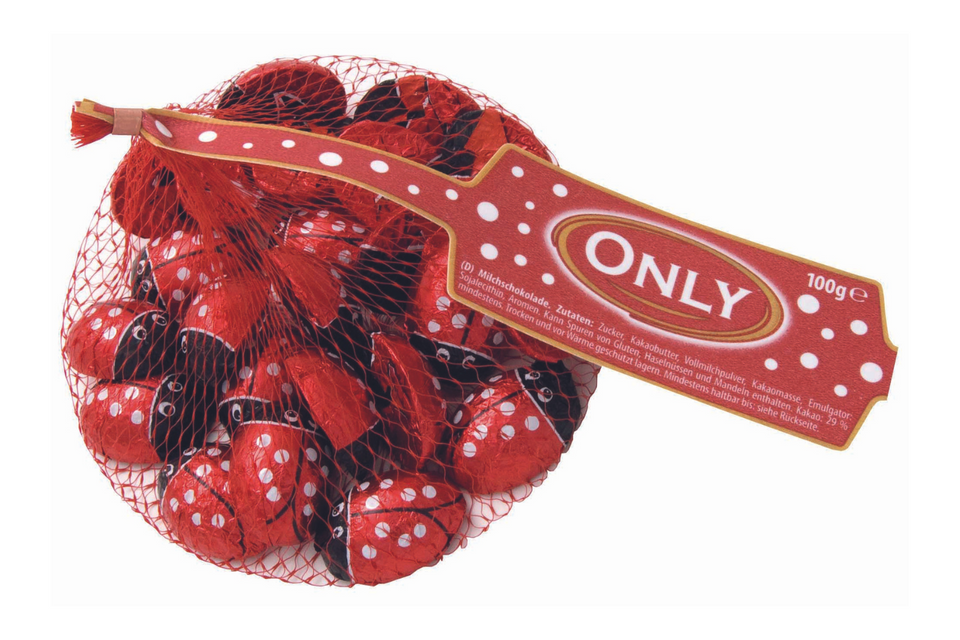 Chocolate Ladybirds in Net Gift Bag xx