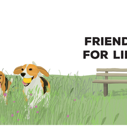 Be More Dog