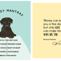 Be More Dog