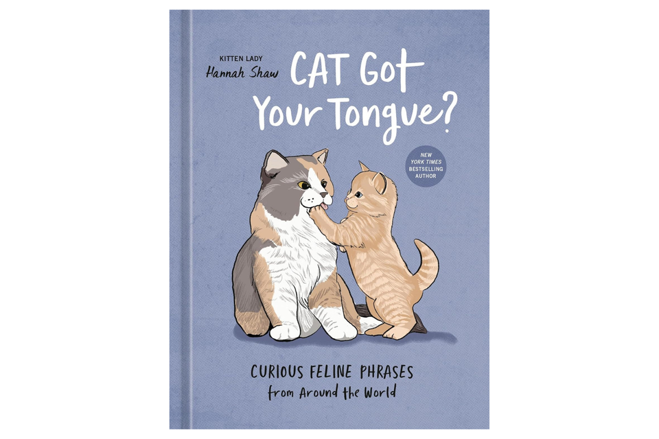 Cat Got Your Tongue: Curious Feline Phrases From Around The World xx