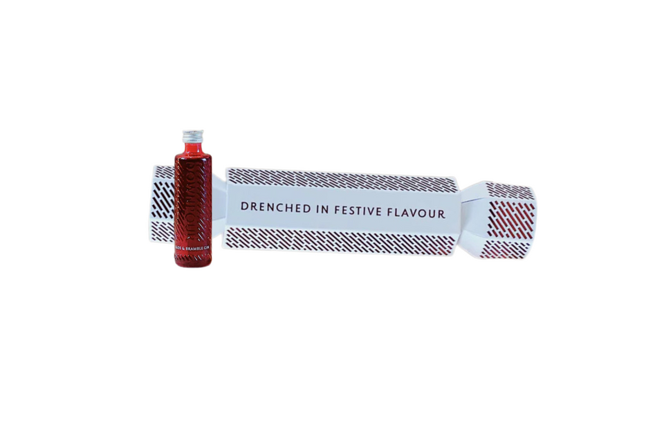 Downpour Sloe & Bramble Gin Christmas Cracker 5cl xx