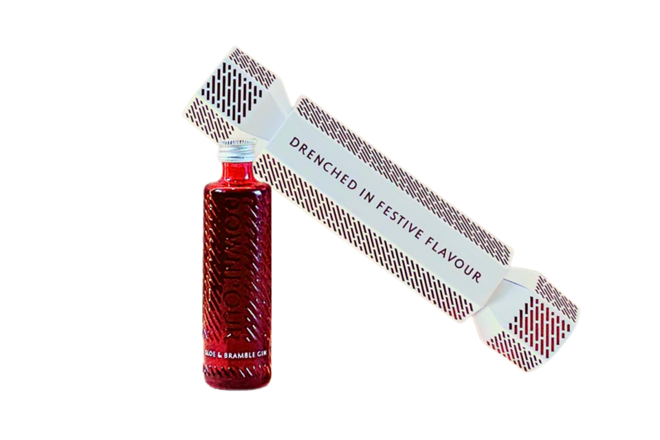 Downpour Sloe & Bramble Gin Christmas Cracker 5cl xx