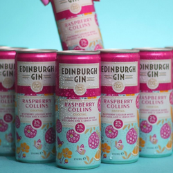 Edinburgh Gin Mixer Cans 25cl