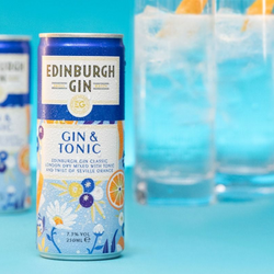 Edinburgh Gin Mixer Cans 25cl
