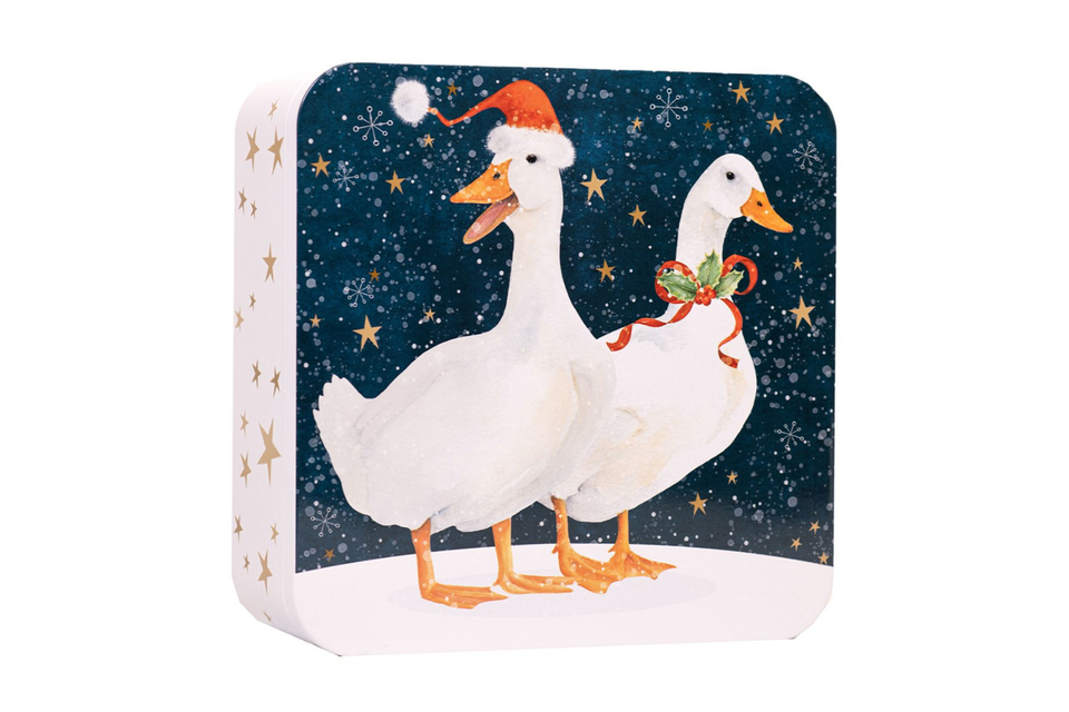 Farmhouse Biscuits Christmas Geese Gift Tin xx