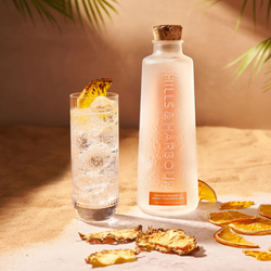 Hills & Harbour Burnt Orange & Smoked Pineapple Gin 70cl