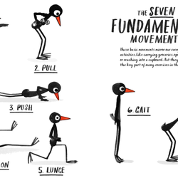 How To Be A Fit Bird