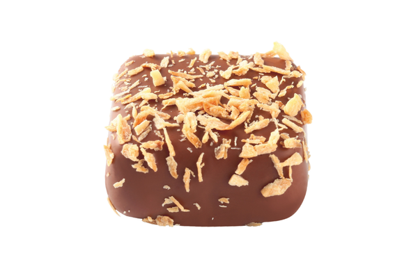 Hazelnut with Coconut in Milk Chocolate