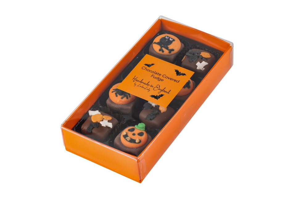 Gift Box of Chocolate Covered Fudge Pieces with Halloween Décor xx