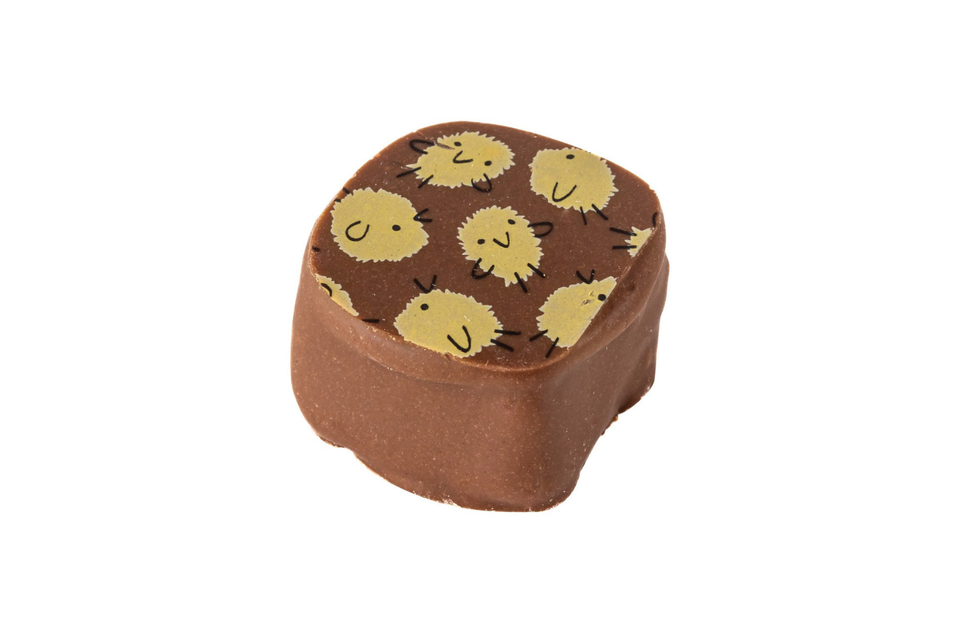 Milk Chocolate Easter Praline