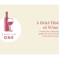 The Little Guide to Wine