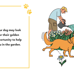Love Language of Dogs