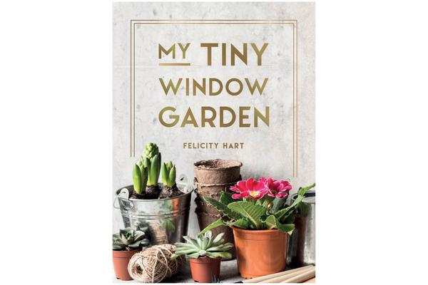 My Tiny Window Garden