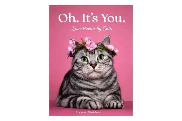 Oh, It's You: Love Poems by Cats