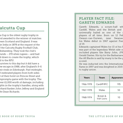 The Little Book of Rugby Trivia
