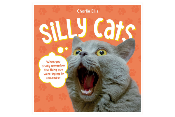 Silly Cats