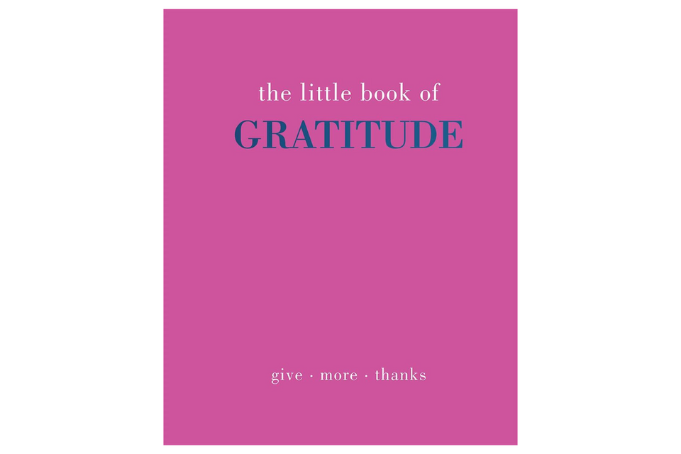Little Book of Gratitude xx