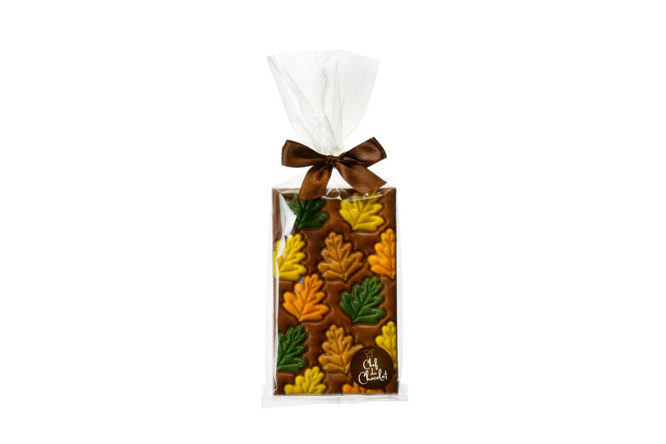 Autumn Leaves Decorated Milk Chocolate Bar xx