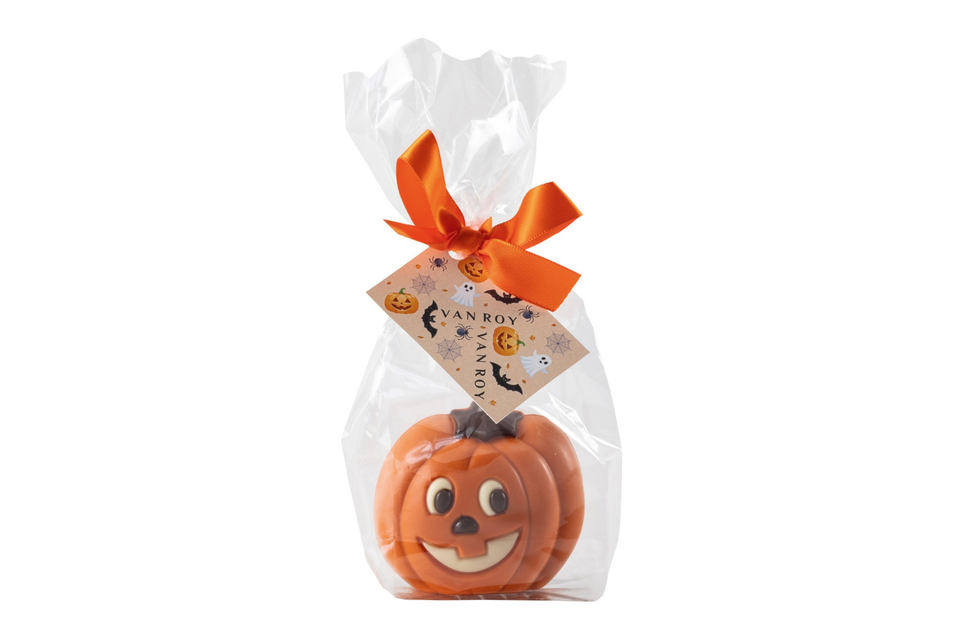 Milk Chocolate Pumpkin in Gift Bag xx