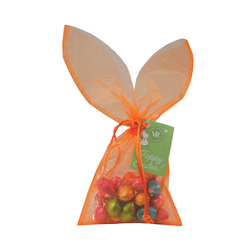 Organza Bunny Ears Gift Bag EMPTY