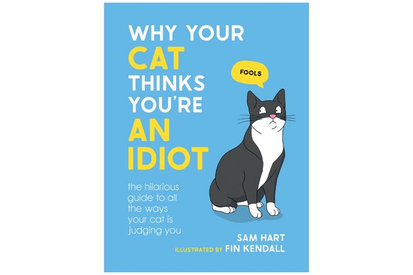 Why Your Cat Thinks You're An Idiot