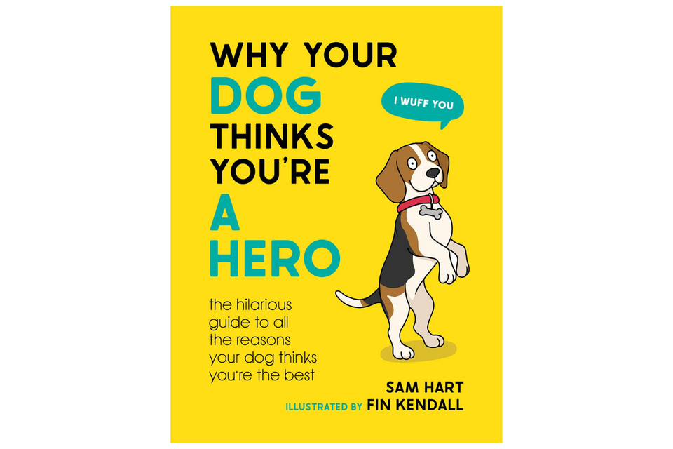 Why Your Dog Thinks You're A Hero xx