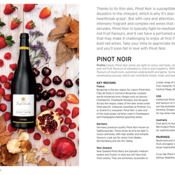 Wine: Taste, Pair, Pour