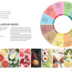 Wine: Taste, Pair, Pour