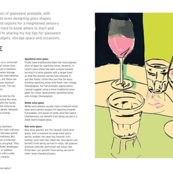 Wine: Taste, Pair, Pour